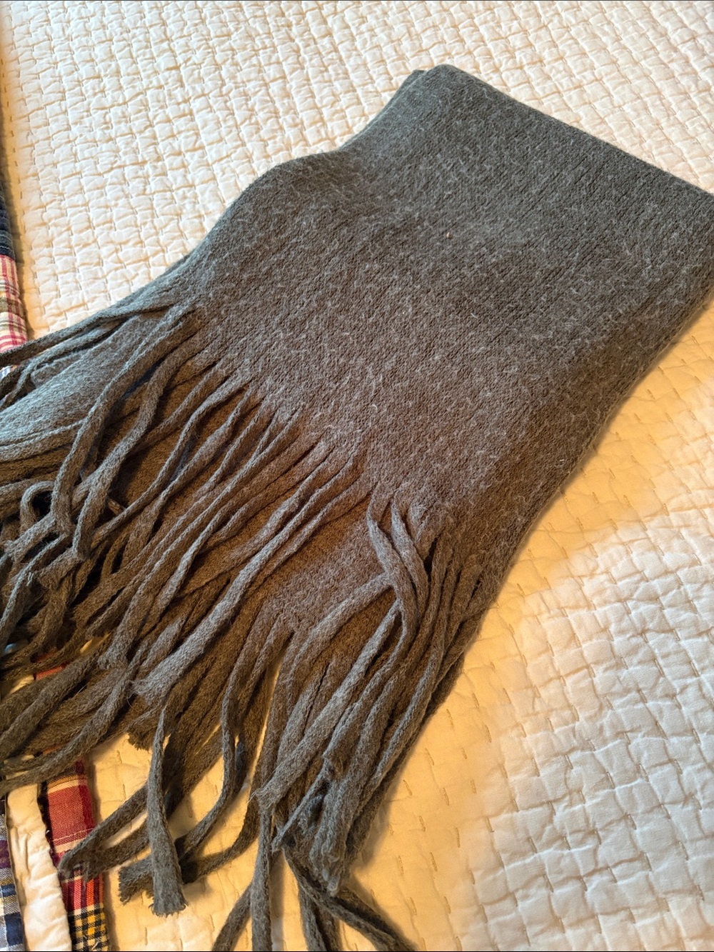 Women's Gray Green Fringe Scarf - Unbranded